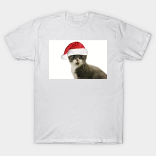 Haz Those Reindeerz Got Teethz! T-Shirt